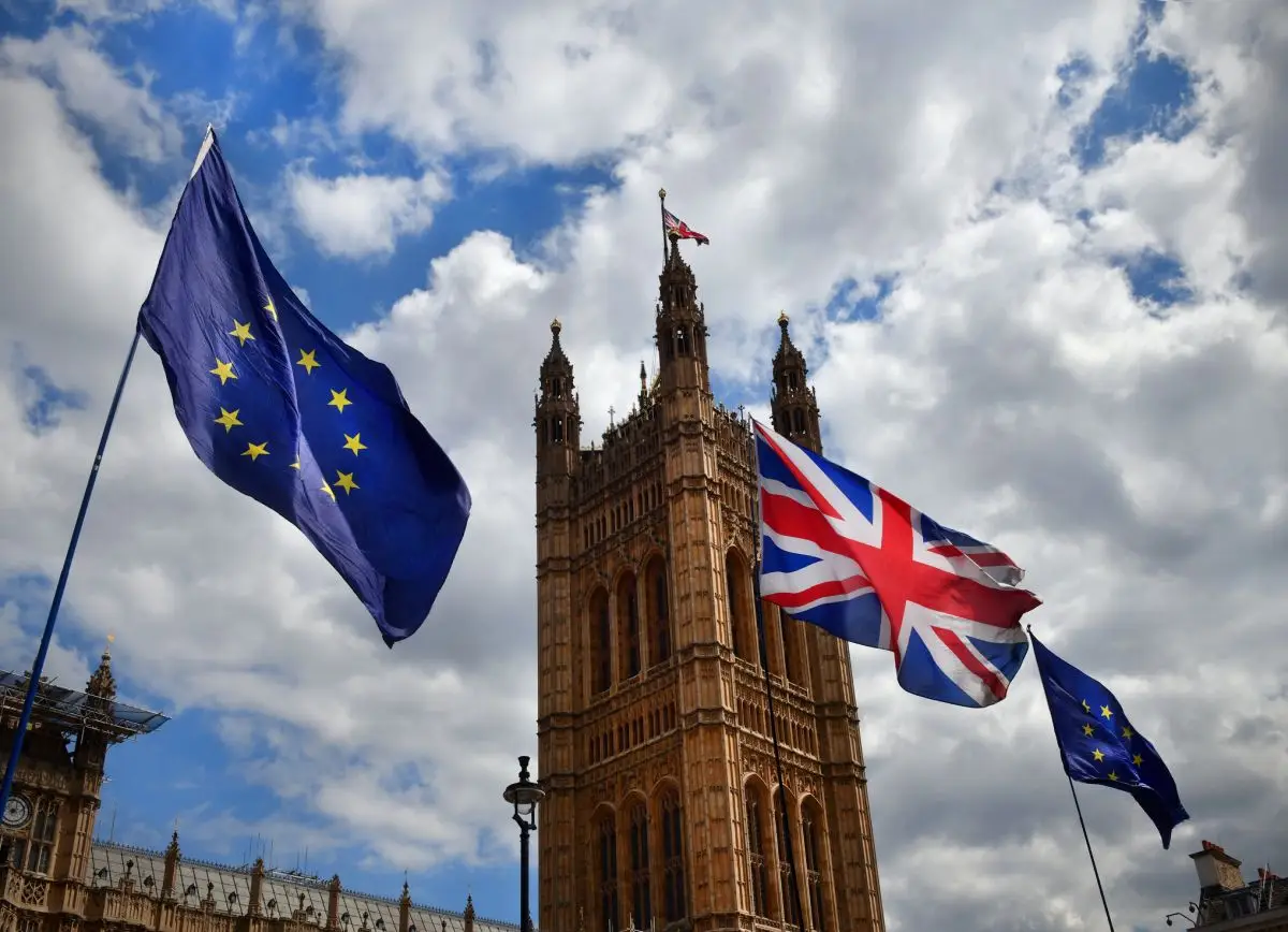 Brexit flags